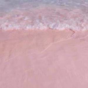 亚洲一级特黄大片做受
